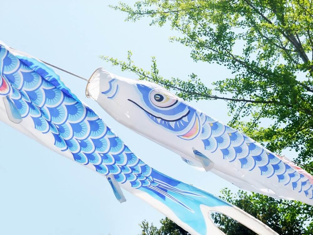 青い鯉のぼりプロジェクト