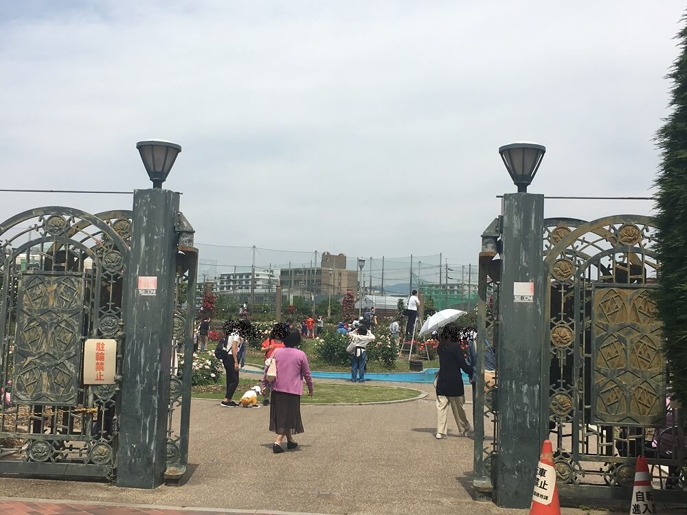 茨木市 今が見頃 若園公園のバラ園へ足を運んでみませんか 号外net 茨木