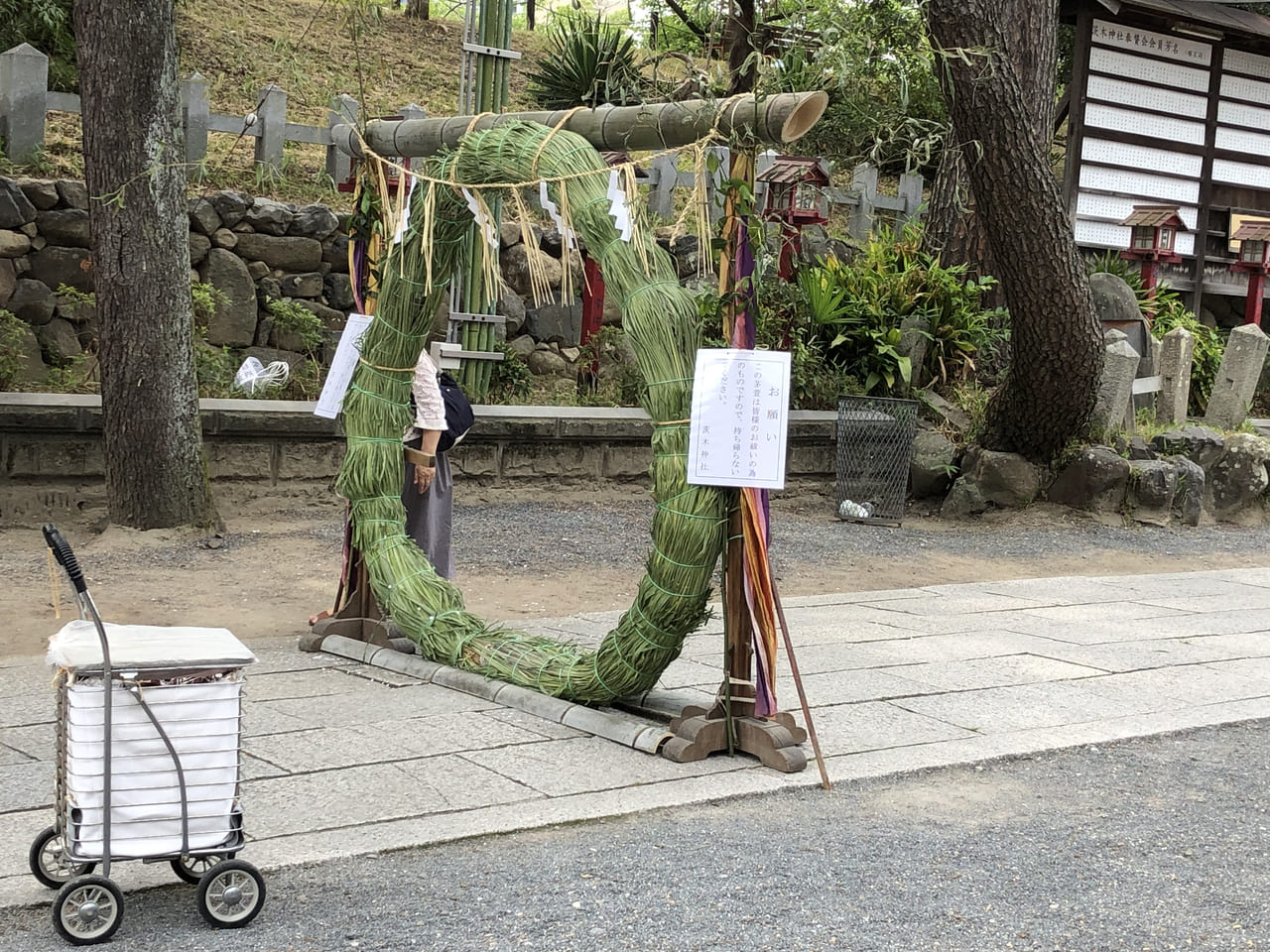 茨木市 今話題の 花手水 もありました 毎年この時期だけの行事 茨木神社の茅の輪くぐり へ 7月1日正午まで 号外net 茨木