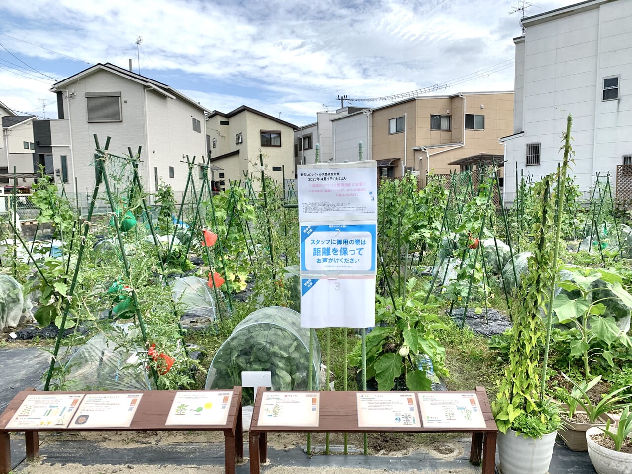 農園の様子