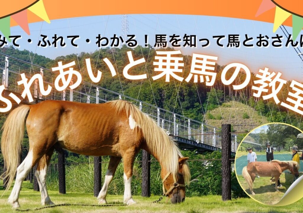 ふれあいと乗馬の教室