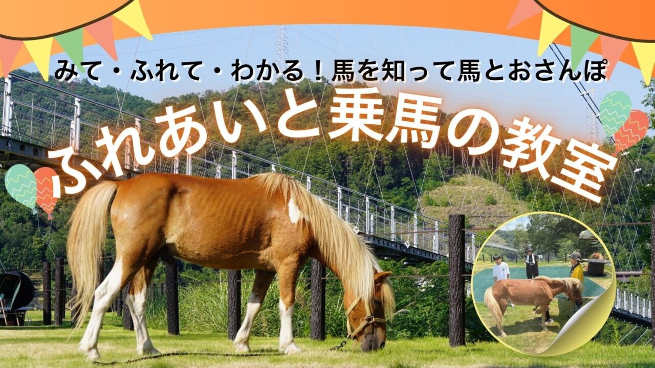 ふれあいと乗馬の教室