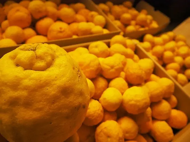 過去に店舗に集まったゆず