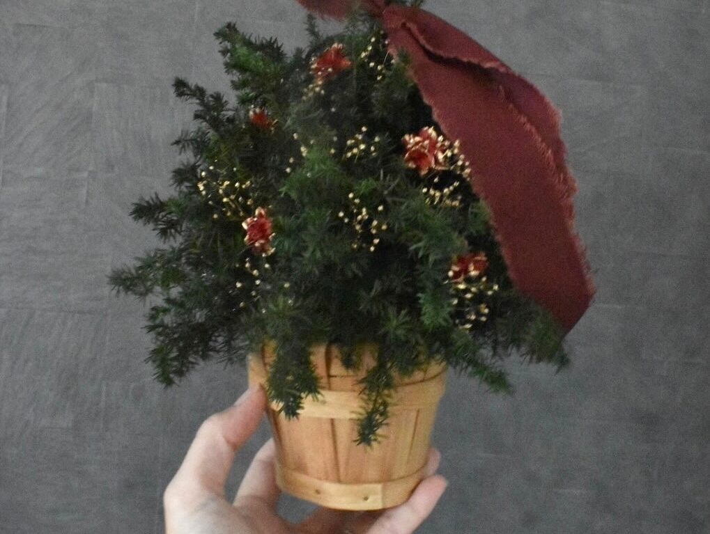 ミニクリスマスツリー