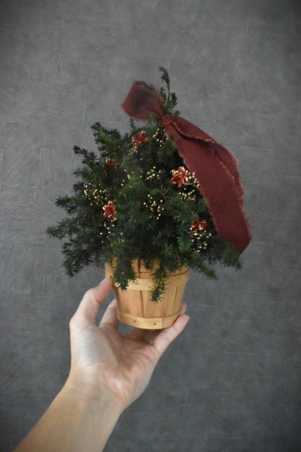 ミニクリスマスツリー